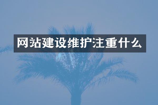 网站建设维护注重什么
