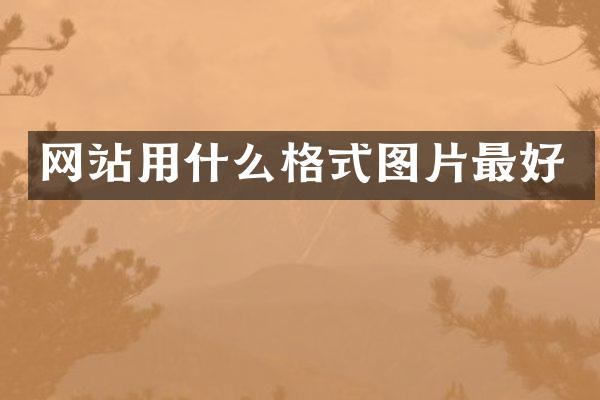 网站用什么格式图片最好
