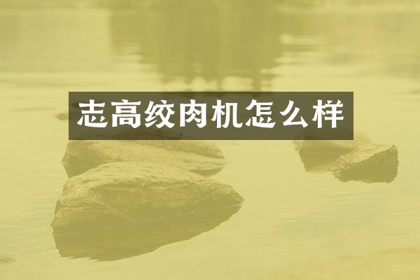 志高绞肉机怎么样