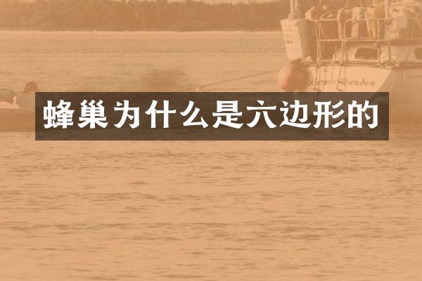 蜂巢为什么是六边形的