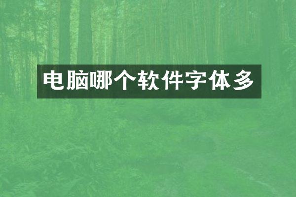 电脑哪个软件字体多