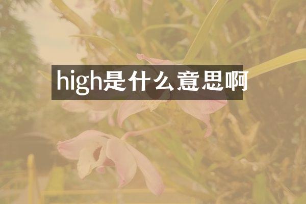 high是什么意思啊