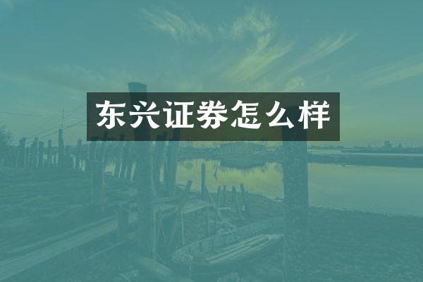 东兴证券怎么样