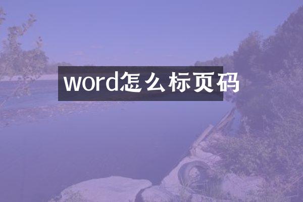word怎么标页码
