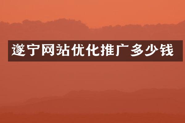遂宁网站优化推广多少钱