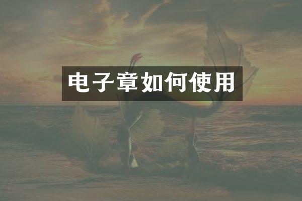 电子章如何使用