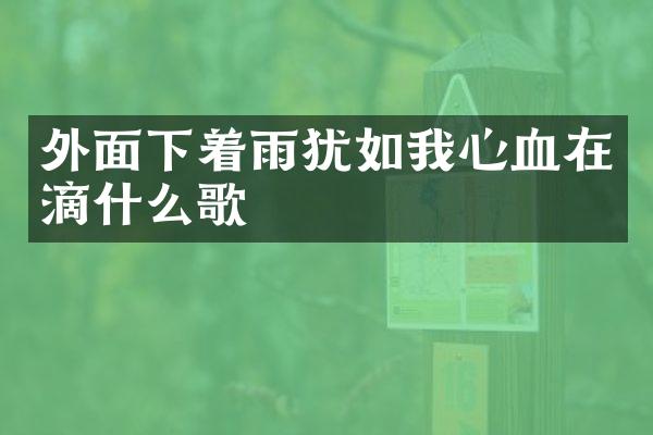 外面下着雨犹如我心血在滴什么歌