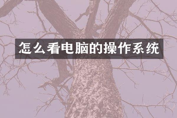 怎么看电脑的操作系统