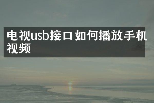电视usb接口如何播放手机视频