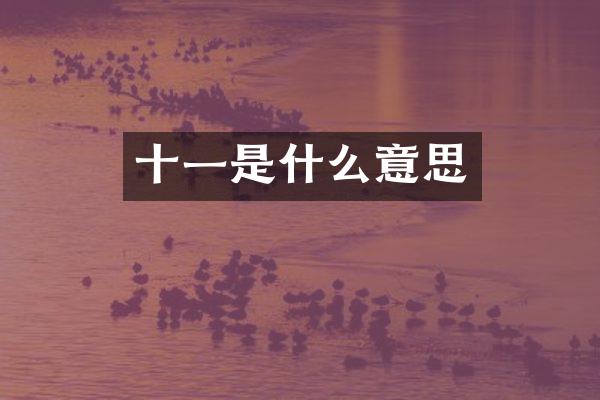 十一是什么意思