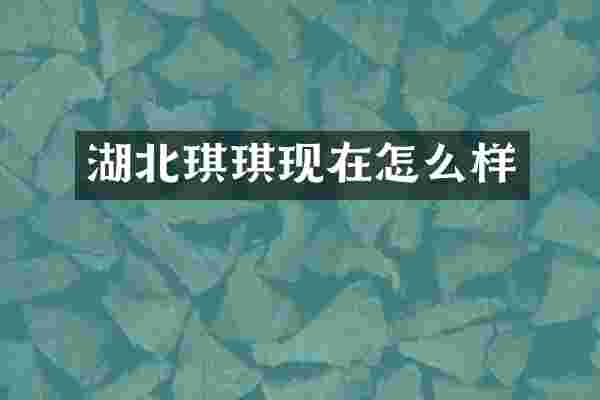 湖北琪琪现在怎么样