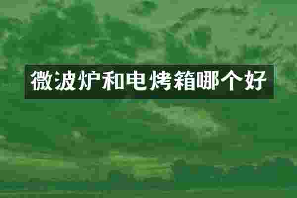 微波炉和电烤箱哪个好