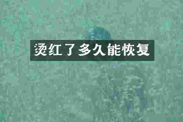 烫红了多久能恢复