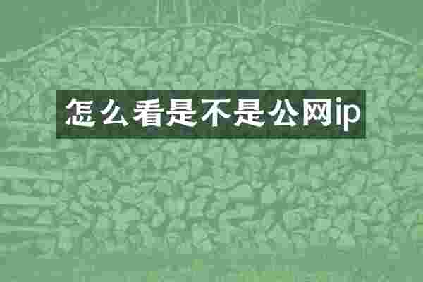 怎么看是不是公网ip