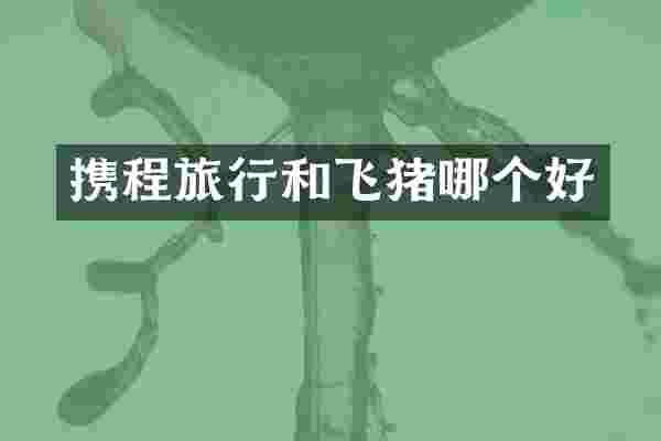 携程旅行和飞猪哪个好