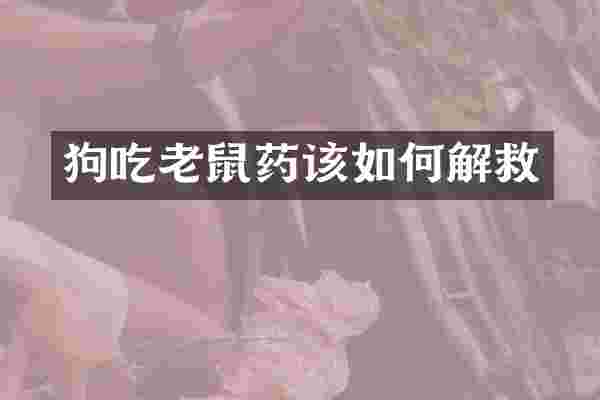 狗吃老鼠药该如何解救