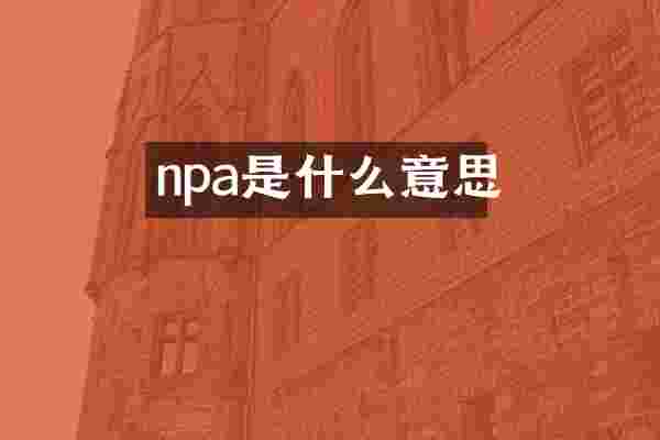 npa是什么意思