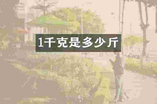 1千克是多少斤