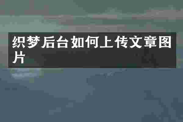 织梦后台如何上传文章图片