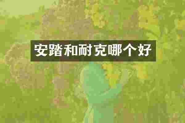 安踏和耐克哪个好
