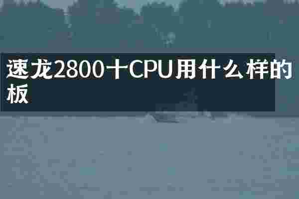 速龙2800十CPU用什么样的主板