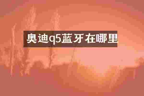 奥迪q5蓝牙在哪里