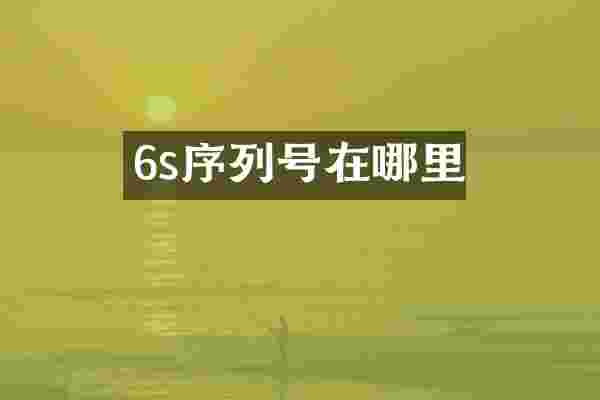 6s序列号在哪里