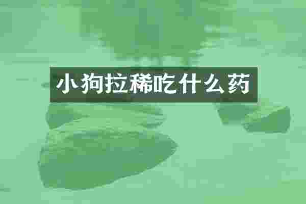 小狗拉稀吃什么药