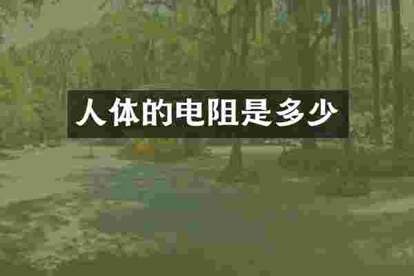 人体的电阻是多少