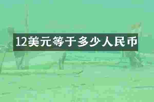 12美元等于多少人民币