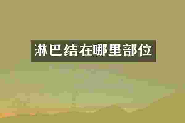 淋巴结在哪里部位