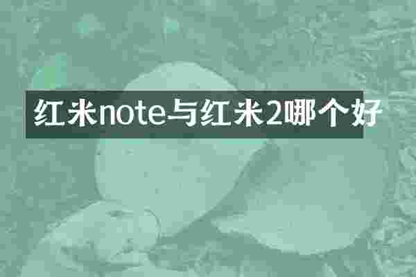 红米note与红米2哪个好