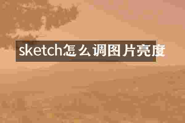 sketch怎么调图片亮度