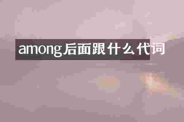among后面跟什么代词