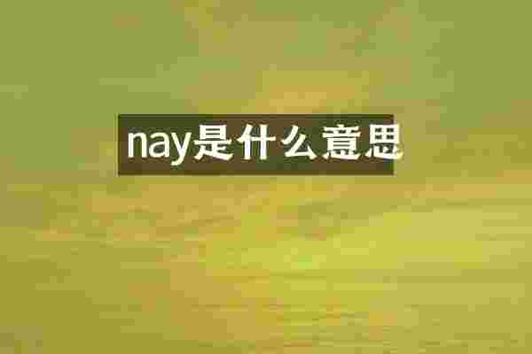 nay是什么意思