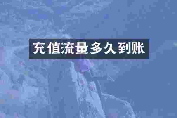 充值流量多久到账