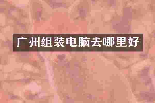 广州组装电脑去哪里好