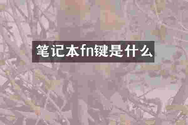 笔记本fn键是什么