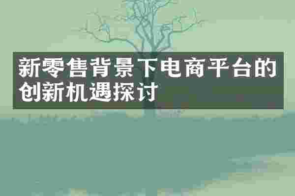新零售背景下电商平台的创新机遇探讨