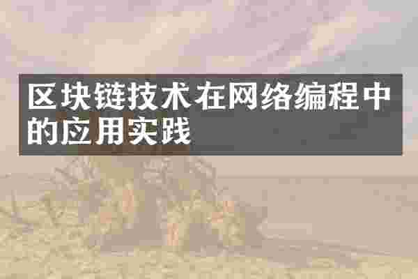 区块链技术在网络编程中的应用实践
