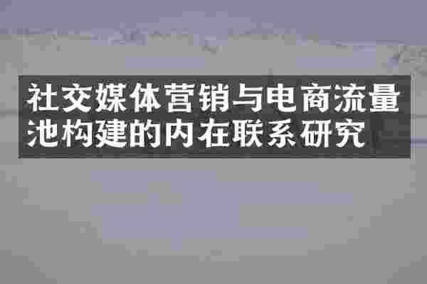 社交媒体营销与电商流量池构建的内在联系研究
