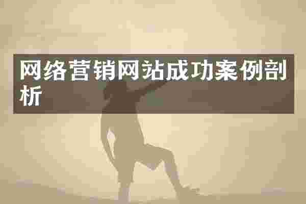 网络营销网站成功案例剖析