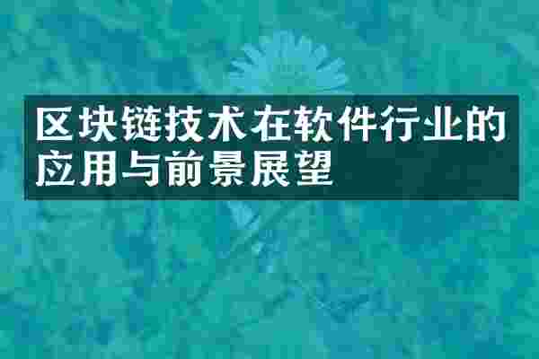 区块链技术在软件行业的应用与前景展望