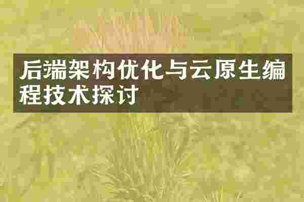 后端架构优化与云原生编程技术探讨