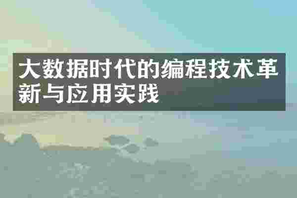 大数据时代的编程技术革新与应用实践