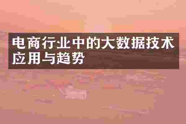 电商行业中的大数据技术应用与趋势