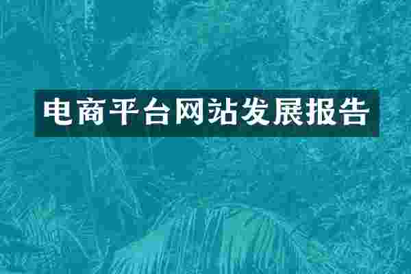电商平台网站发展报告