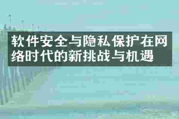 软件安全与隐私保护在网络时代的新挑战与机遇