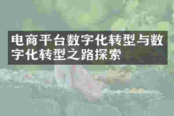 电商平台数字化转型与数字化转型之路探索