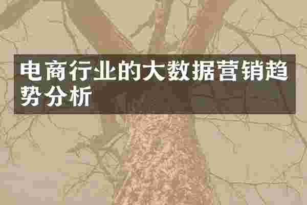 电商行业的大数据营销趋势分析